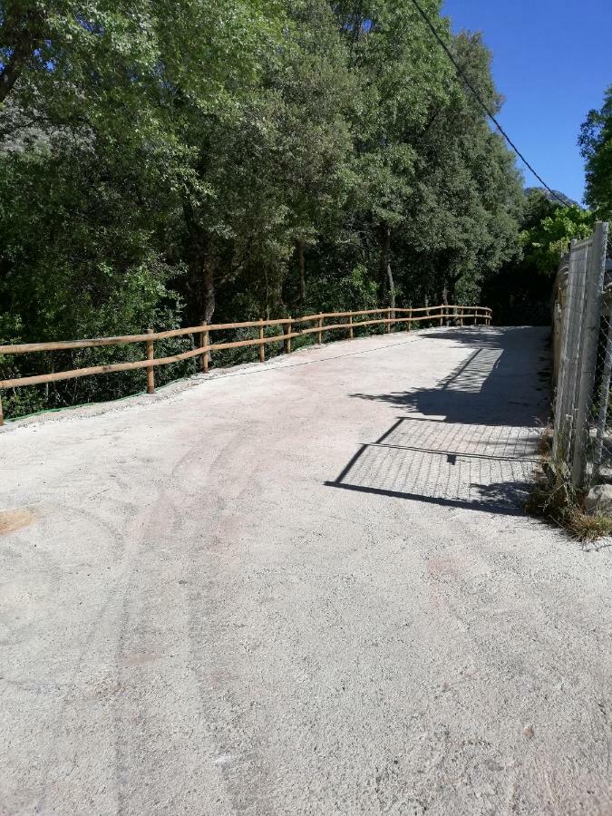 Alojamientos Rurales Vado Ancho La Encina Arroyo Frio Eksteriør billede